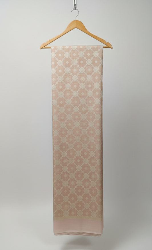 The Peach Blossom Tissue Banarasi Saree WA006